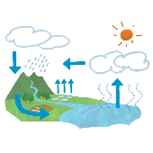 00046606ダンシングペンギン